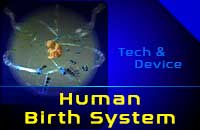 Human Birth System